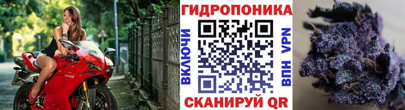 Купить наркотики сайты Ирбит ЭКСТАЗИ Гашиш COCAIN