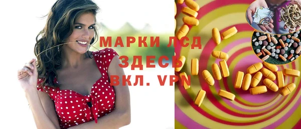 мяу мяу мука Абаза