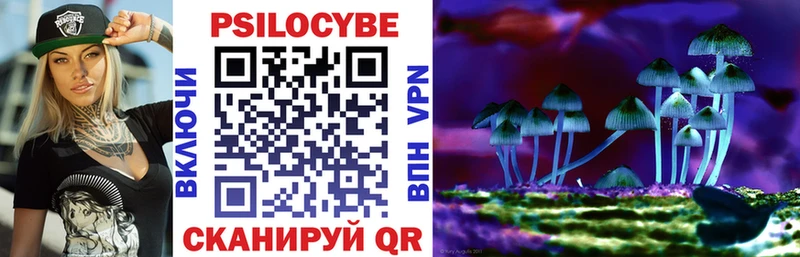 дарнет шоп  Ирбит  Галлюциногенные грибы GOLDEN TEACHER 